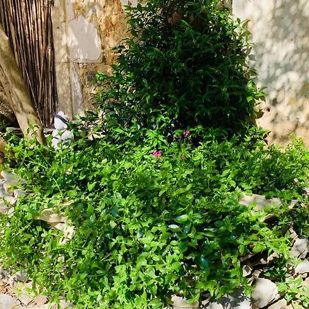 Appartement avec jardin et Spa privatifs Cazouls-lès-Béziers Extérieur photo