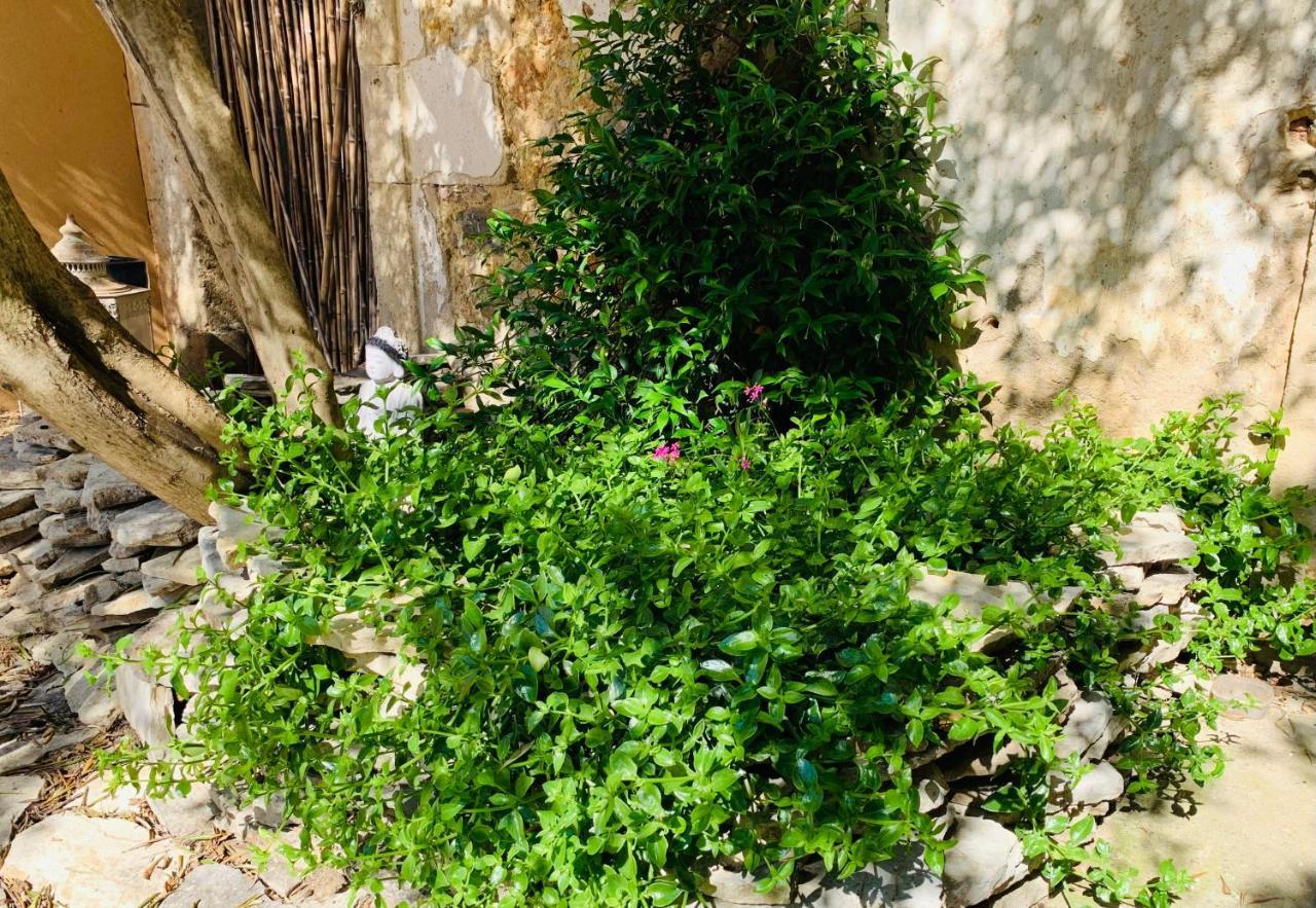 Appartement avec jardin et Spa privatifs Cazouls-lès-Béziers Extérieur photo